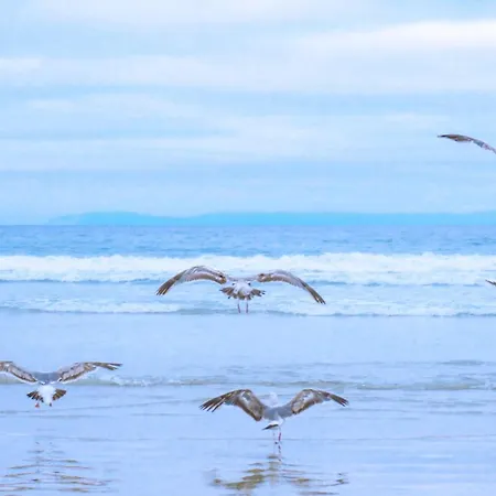 בית נופש Life - Aan Zee קלאנטסהוך