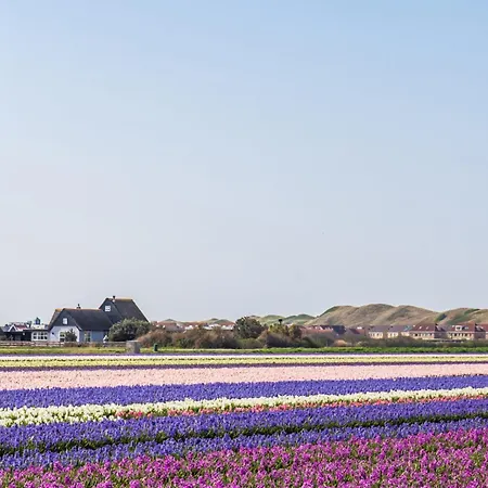 別荘 Life - Aan Zee