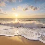 Life - Aan Zee Callantsoog