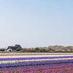 Dom wakacyjny Life - Aan Zee